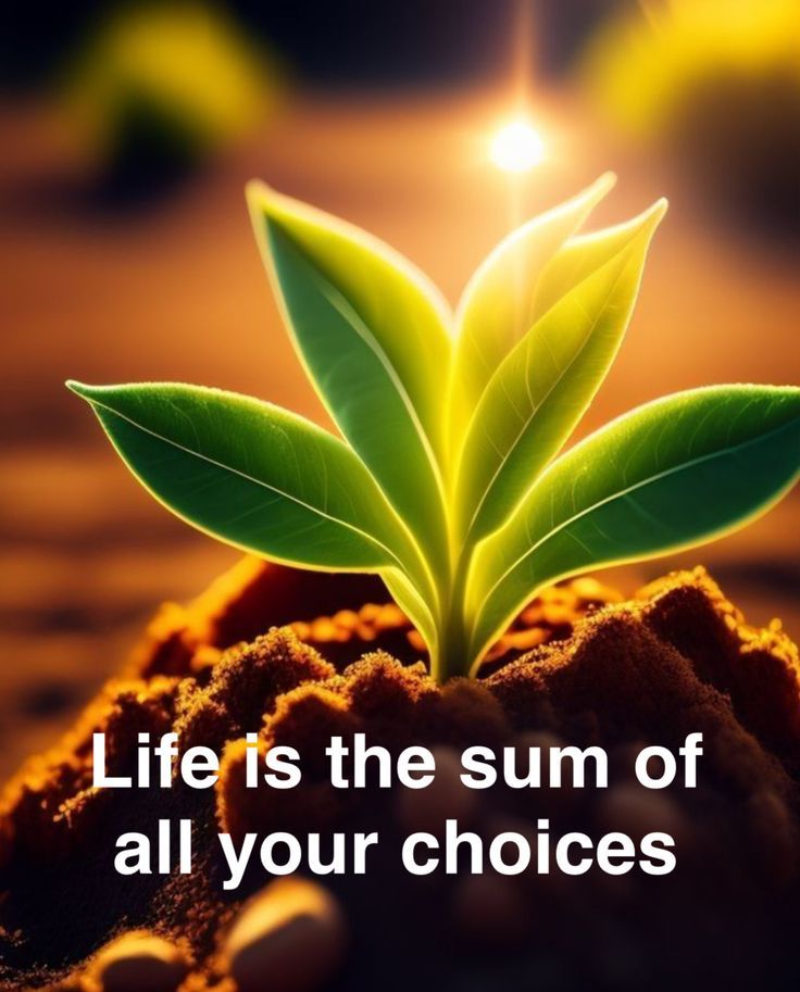 Kita Hari ini Adalah Hasil dari Keputusan Kita